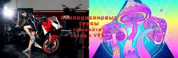 молекула духа Нея