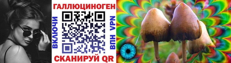 где купить   Ногинск  Галлюциногенные грибы мицелий 