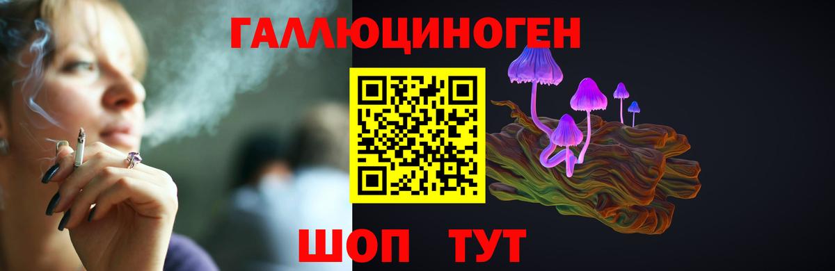 Галлюциногенные грибы Psilocybe  Вход с VPN  Галлюциногенные грибы Psilocybine cubensis  Ногинск 